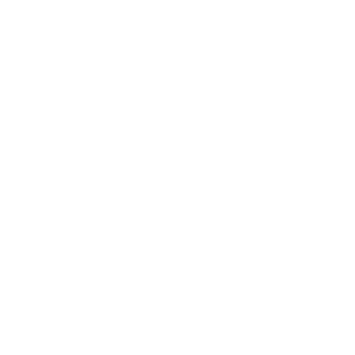 Logo White
